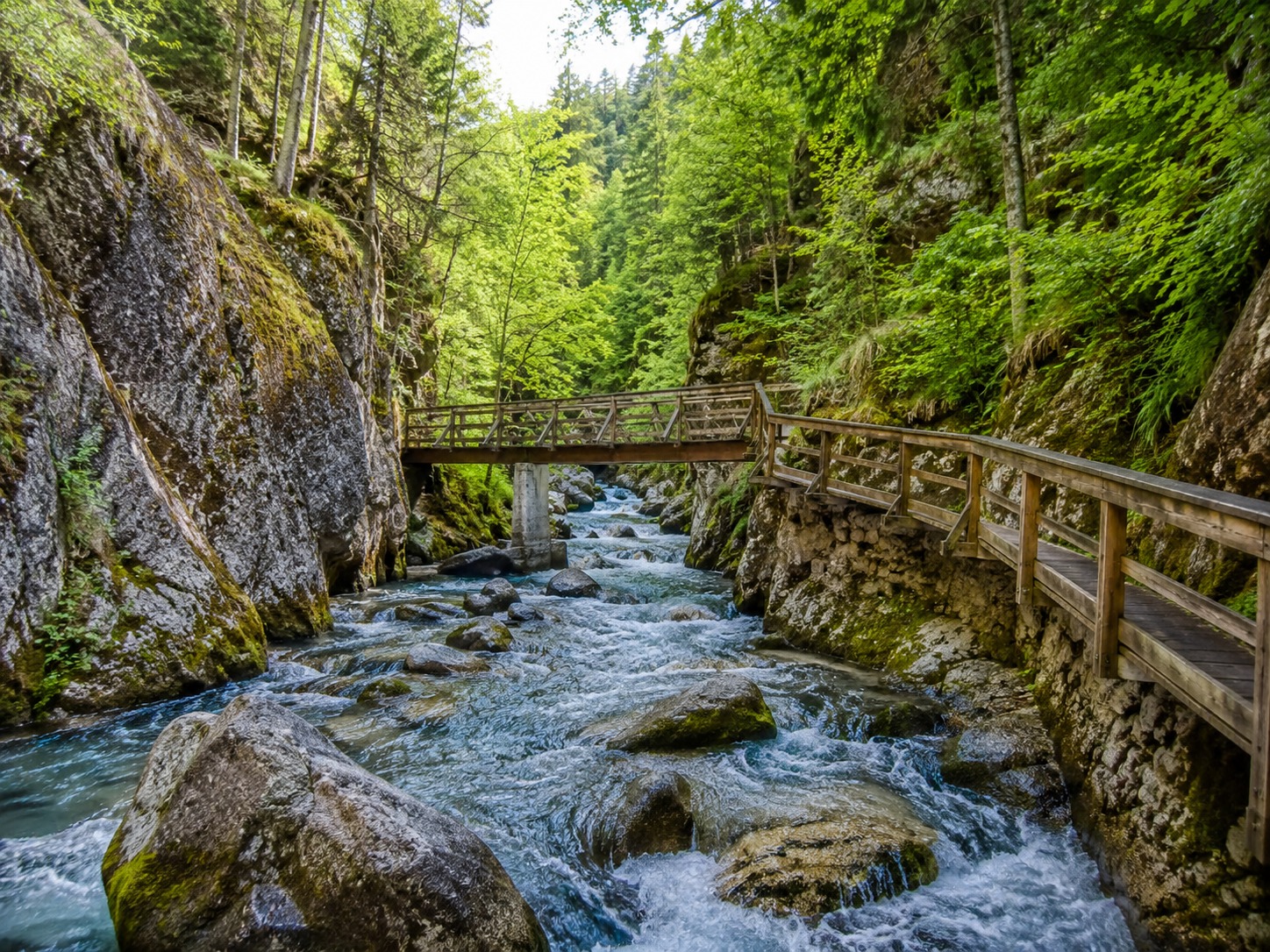 Планинска природа край Калофер